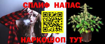 a pvp Нарткала