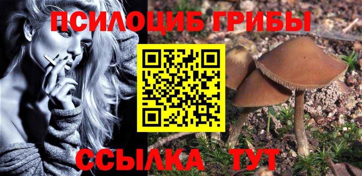 Сосновоборск  Псилоцибиновые грибы мицелий  Вход с VPN  закладки  Галлюциногенные грибы Psilocybine cubensis 